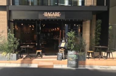 hagare_shibuya_thumb.jpg