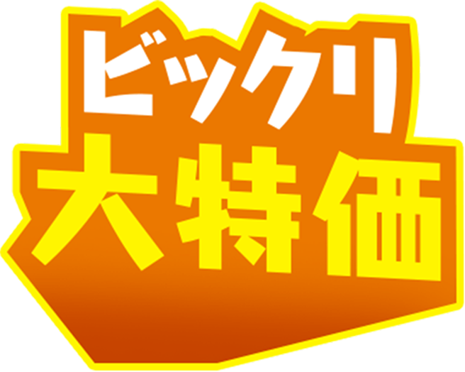 ビックリ大特価