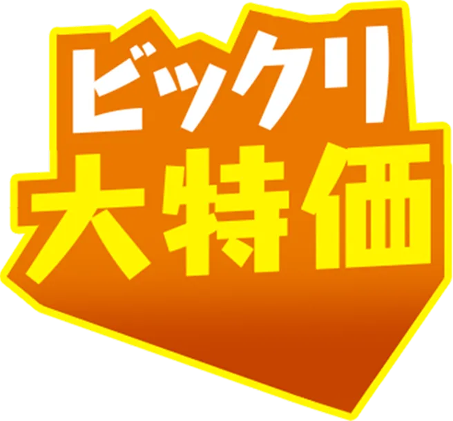 ビックリ大特価