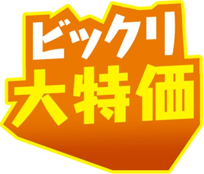 ビックリ大特価