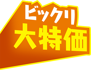 ビックリ大特価