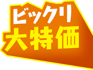 ビックリ大特価