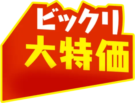 ビックリ大特価