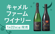 サイドキャメルファーム