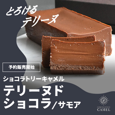 テリーヌ