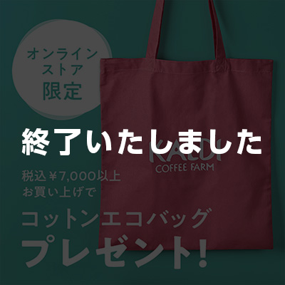 コットンエコバッグプレゼント