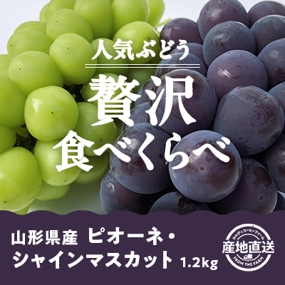 産地直送ピオーネ・シャインマスカット
