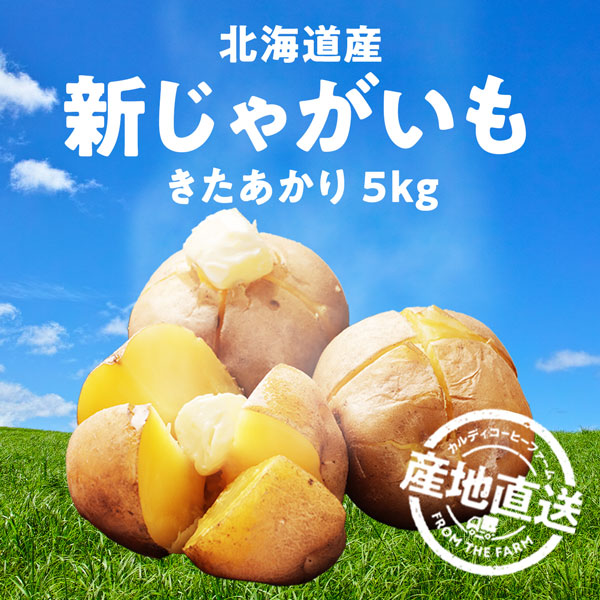 新じゃがいも