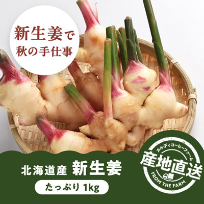 産地直送新生姜