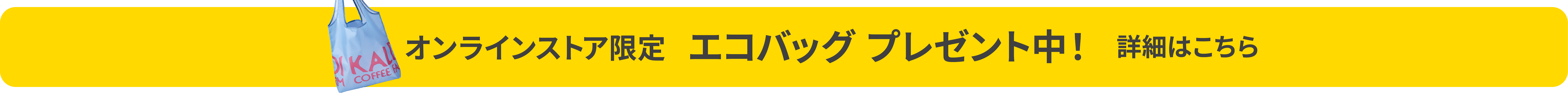 エコバッグプレゼント