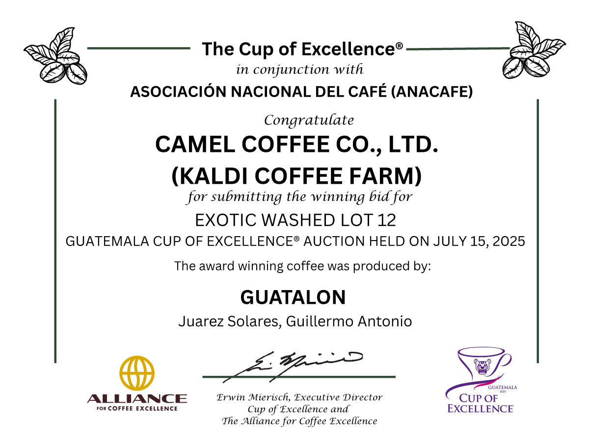 【メキシコ第12位】