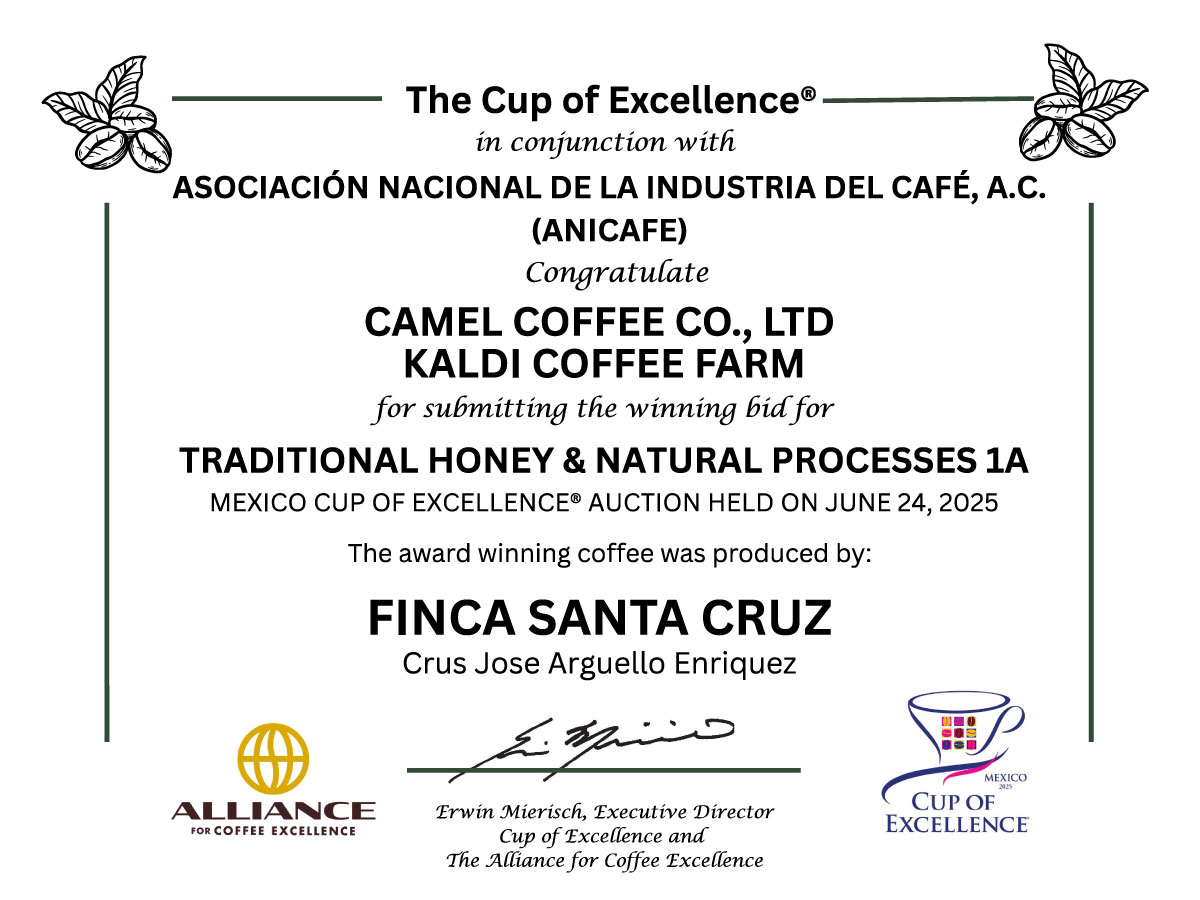 【メキシコ1位】