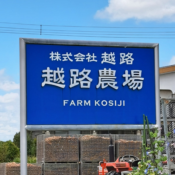 産地