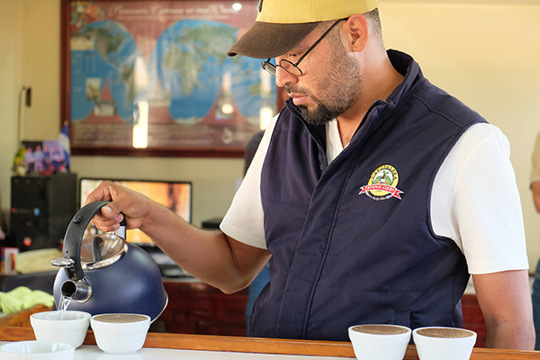 ニカラグア　ブエノスアイレス農園　ジャバ