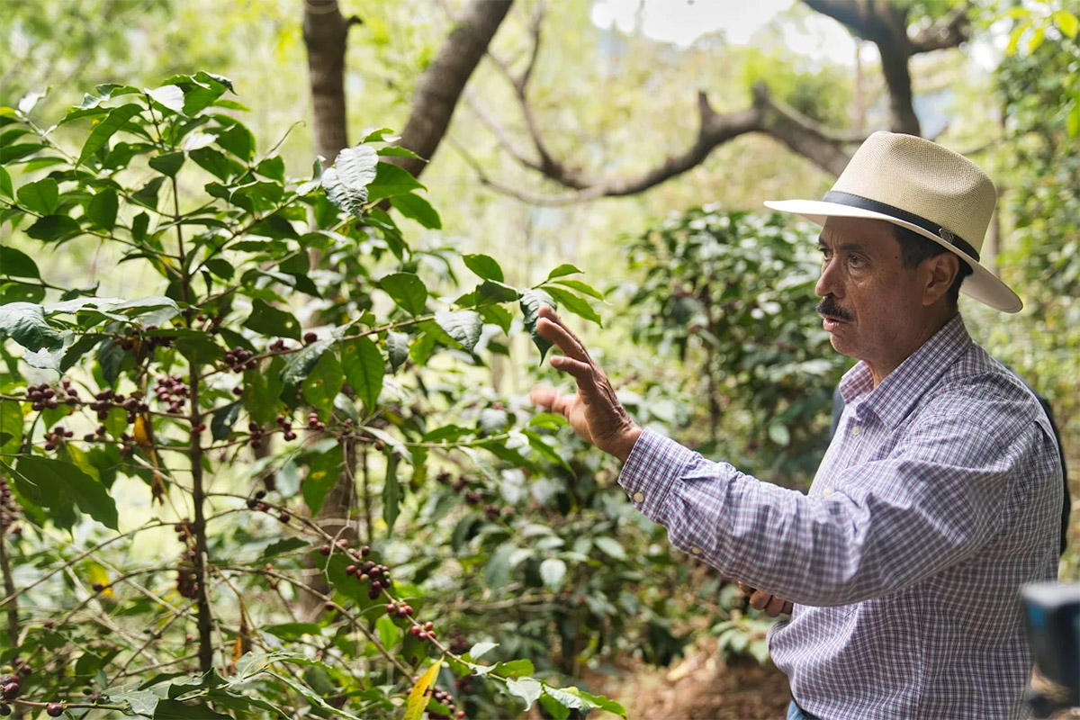 【グアテマラ第12位】