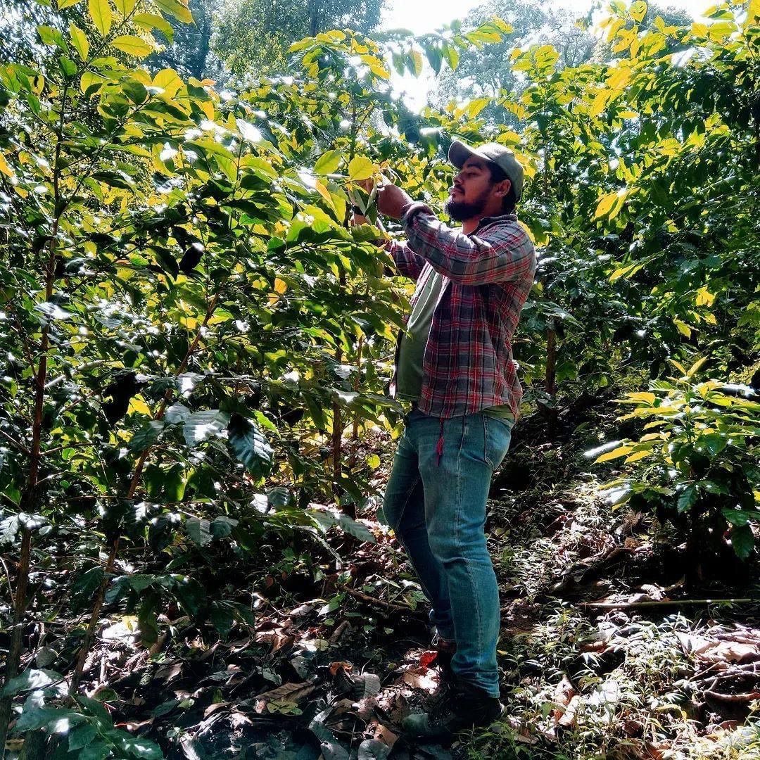 【メキシコ1位】