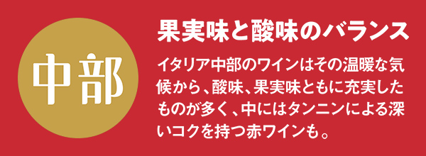 中部