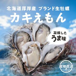 【予約販売】【冷蔵】オンラインストア限定　北海道厚岸産殻付生牡蠣・カキえもん　Sサイズ20個セット●産地直送・送料込み●【2月中旬お届け】