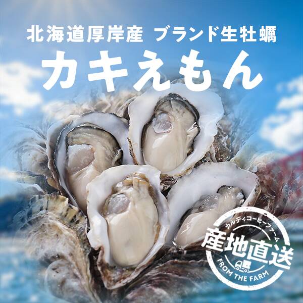 【予約販売】【冷蔵】オンラインストア限定　北海道厚岸産殻付生牡蠣・カキえもん　Sサイズ20個セット●産地直送・送料込み●【1月下旬頃お届け】