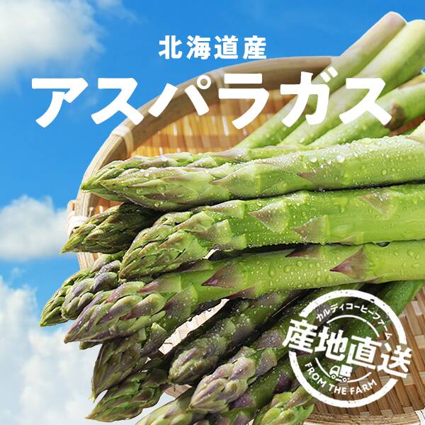 【予約販売】【冷蔵】オンラインストア限定　北海道産アスパラガス　800g（L-3Lサイズ混合）●産地直送・送料込み●【2026年5月中旬頃お届け予定】