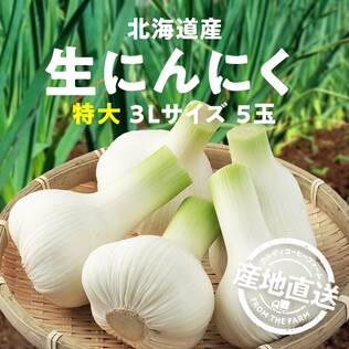 【予約販売】【冷蔵】オンラインストア限定　北海道産生にんにく　特大3Lサイズ5玉●産地直送・送料込み●【6月下旬-7月上旬お届け予定】