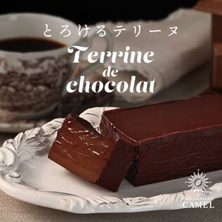 【予約販売】オンラインストア限定　ショコラトリーキャメル　テリーヌドショコラ（サモア）　冷凍●送料込み●【4月中-下旬頃お届け】