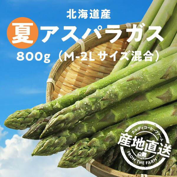 【予約販売】【冷蔵】オンラインストア限定　北海道産　夏アスパラガス　800g（M-2Lサイズ混合）●産地直送・送料込み●【7月中旬-下旬頃お届け】