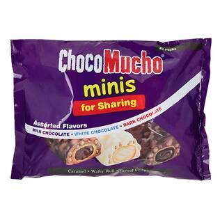 レビスコ　チョコムーチョ　ミニ　アソート　20p