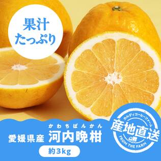 【予約販売】オンラインストア限定　愛媛県産　河内晩柑（かわちばんかん）　3kg●産地直送・送料込み●【6月上旬-中旬頃お届け予定】
