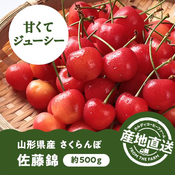【予約販売】【冷蔵】オンラインストア限定　山形県産さくらんぼ　佐藤錦（秀・Lサイズ）500g　●産地直送・送料込み●【6月中-下旬頃お届け予定】