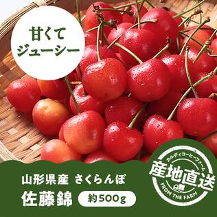 【予約販売】【冷蔵】オンラインストア限定　山形県産さくらんぼ　佐藤錦（秀・Lサイズ）500g　●産地直送・送料込み●【6月中-下旬頃お届け予定】