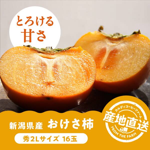 【予約販売】オンラインストア限定　新潟県産おけさ柿　2Lサイズ（16玉）●産地直送・送料込み●【10月中旬-11月上旬頃お届け予定】