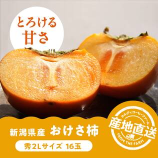 【予約販売】オンラインストア限定　新潟県産おけさ柿　2Lサイズ（16玉）●産地直送・送料込み●【10月中旬-11月上旬頃お届け予定】