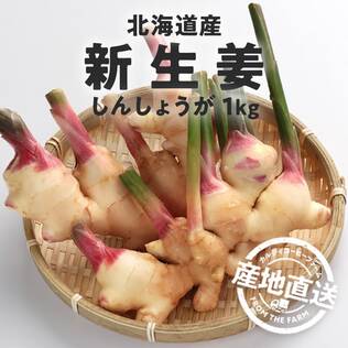 【予約販売】【冷蔵】オンラインストア限定　北海道産新生姜　1kg　●産地直送・送料込み●【9月中旬-10月上旬頃お届け】