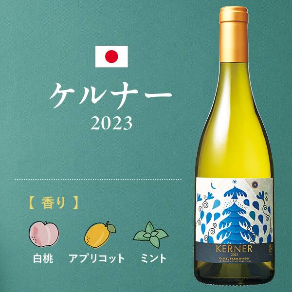 商品写真