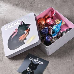オンラインストア限定　ダダカ　CACAOCAT　缶ミックス8個入　CACAO　POD