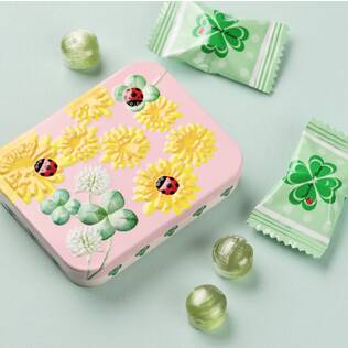 レディバードスクエア缶　ピンク　1個