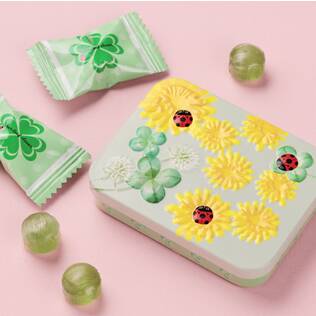 レディバードスクエア缶　グリーン　1個