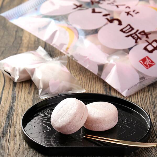 お餅が入ったさくら最中　110g【賞味期限：2025/4/8】