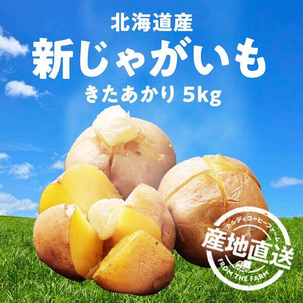 【予約販売】オンラインストア限定　北海道産新じゃがいも　きたあかり　5kg（M・L混合）●産地直送・送料込み●【10月下旬-11月上旬頃お届け】