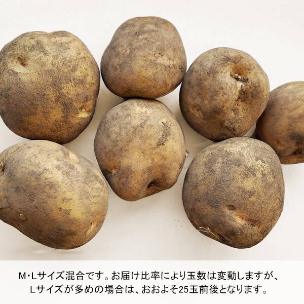 商品写真