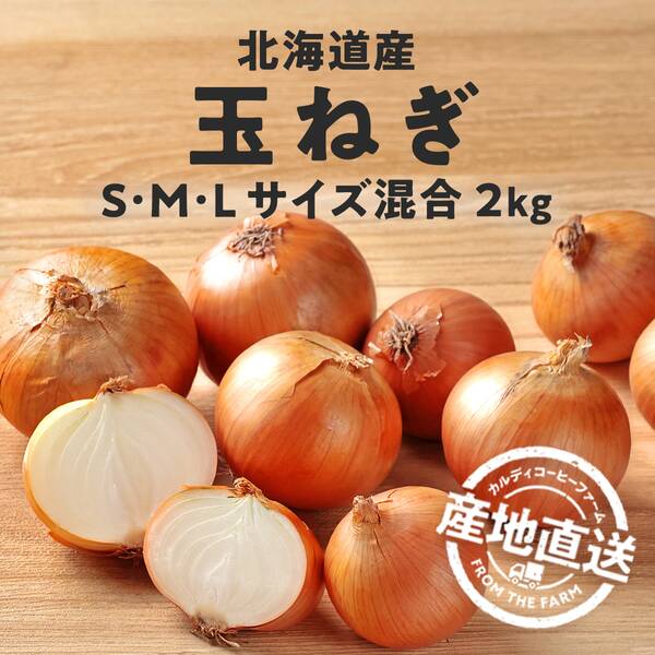 玉ねぎ