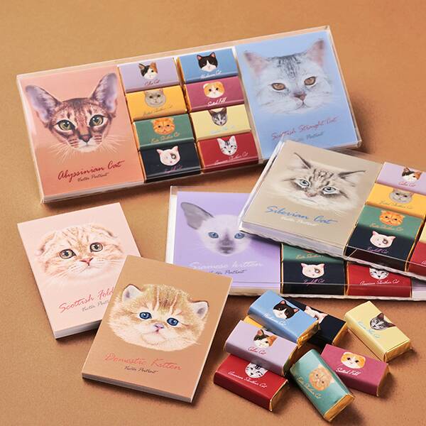 キャット　メモパット　チョコレート　40g　