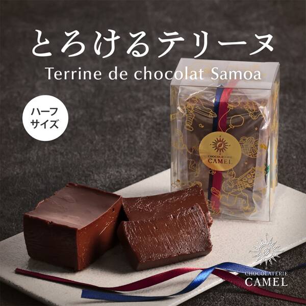 【予約販売】オンラインストア限定　ショコラトリーキャメル　テリーヌドショコラ　サモア（ハーフ）1個　冷凍　●送料込み●【8月中旬頃お届け】