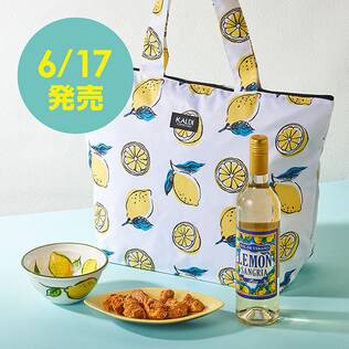 【お酒】レモンバッグ　1セット