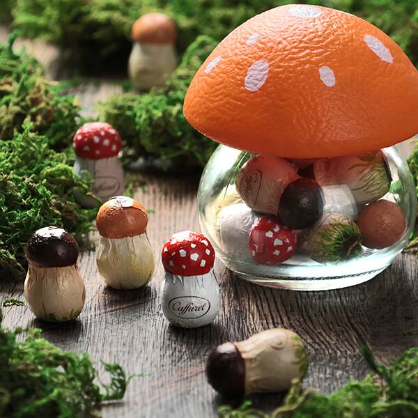 オンラインストア限定　カファレル　きのこポット（オレンジ）ジャンドゥーヤチョコレート　9p