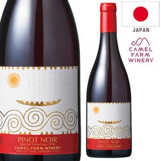 ＜9月5日発売＞【お酒】ピノ・ノワール　スペシャル　セレクション　2024　ボックス入り（赤）　750ml