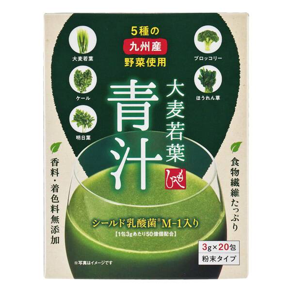 青汁24袋　京都宇治抹茶仕立て　乳酸菌　ラクトフェリン　オリゴ糖　食物繊維