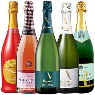 【お酒】冬のパーティ泡　厳選5本セット