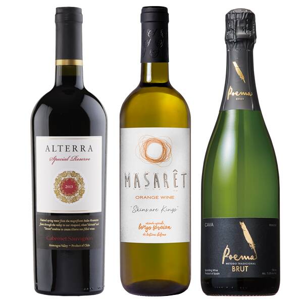 【お酒】オンラインストア限定　ワインとごはん　厳選3本セット（赤・オレンジ・泡）